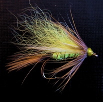 ���� ������ Wet fly 